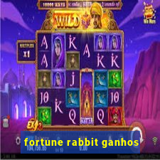 fortune rabbit ganhos