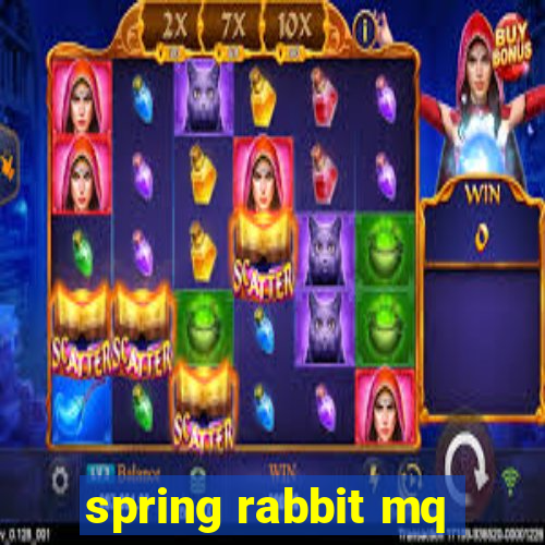 spring rabbit mq