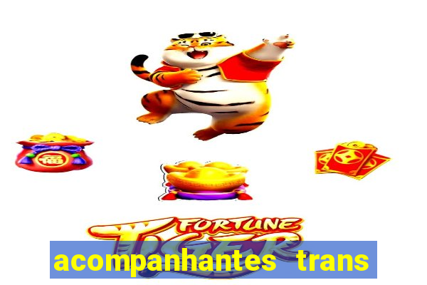 acompanhantes trans santos sp