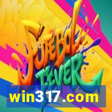 win317.com