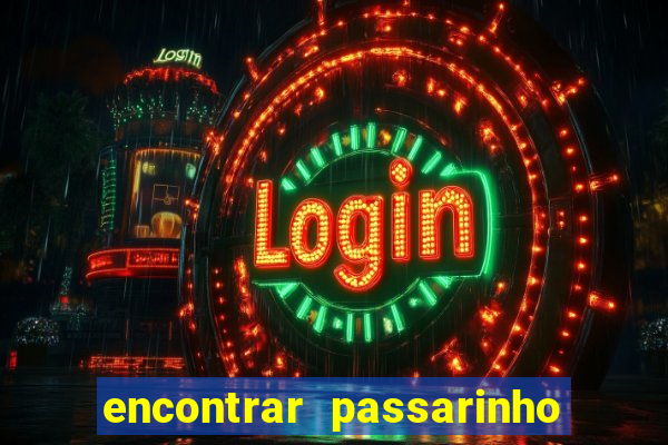 encontrar passarinho morto significado