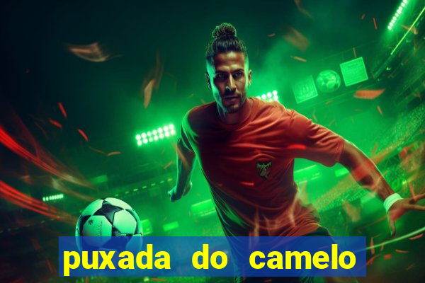 puxada do camelo no jogo do bicho