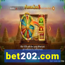 bet202.com