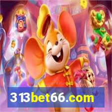 313bet66.com