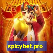 spicybet.pro