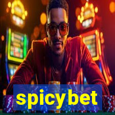 spicybet-5.com