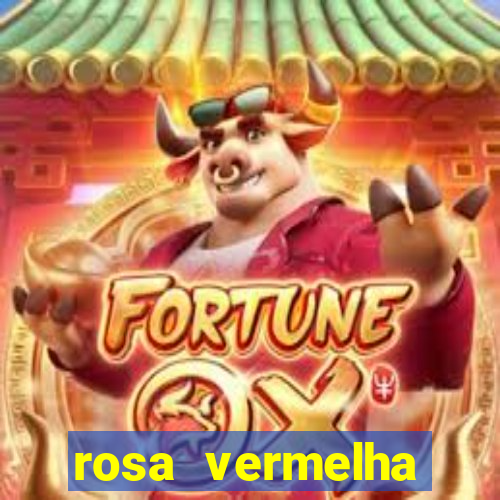 rosa vermelha (letra e cifra)